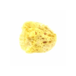 ESTIPHARM EPONGE NATURELLE